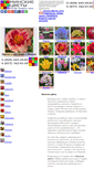 Mobile Screenshot of minsk-flowers.com